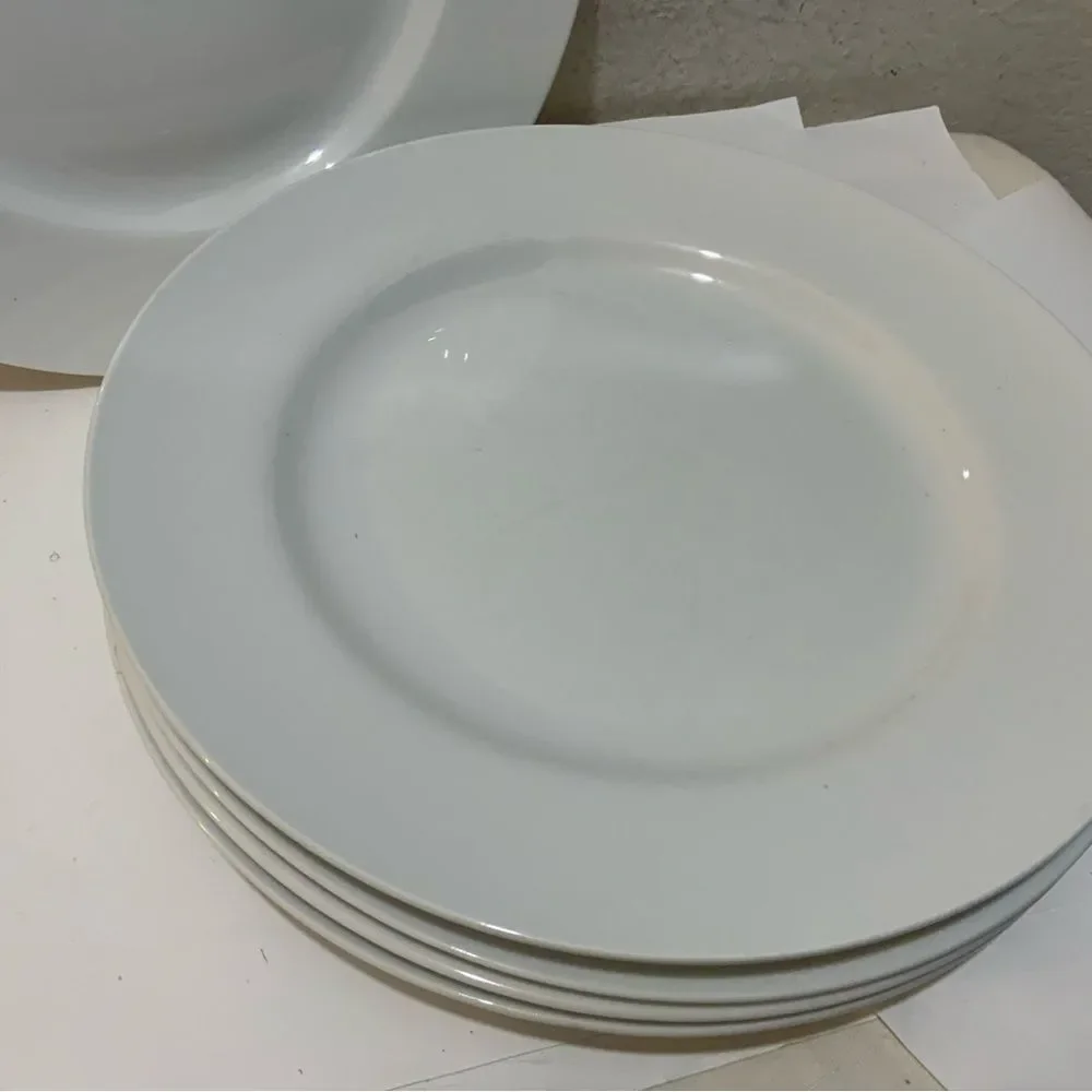 Pier 1 imports luminous White porcelain  dinner Plate 11” (Set of 5) G6